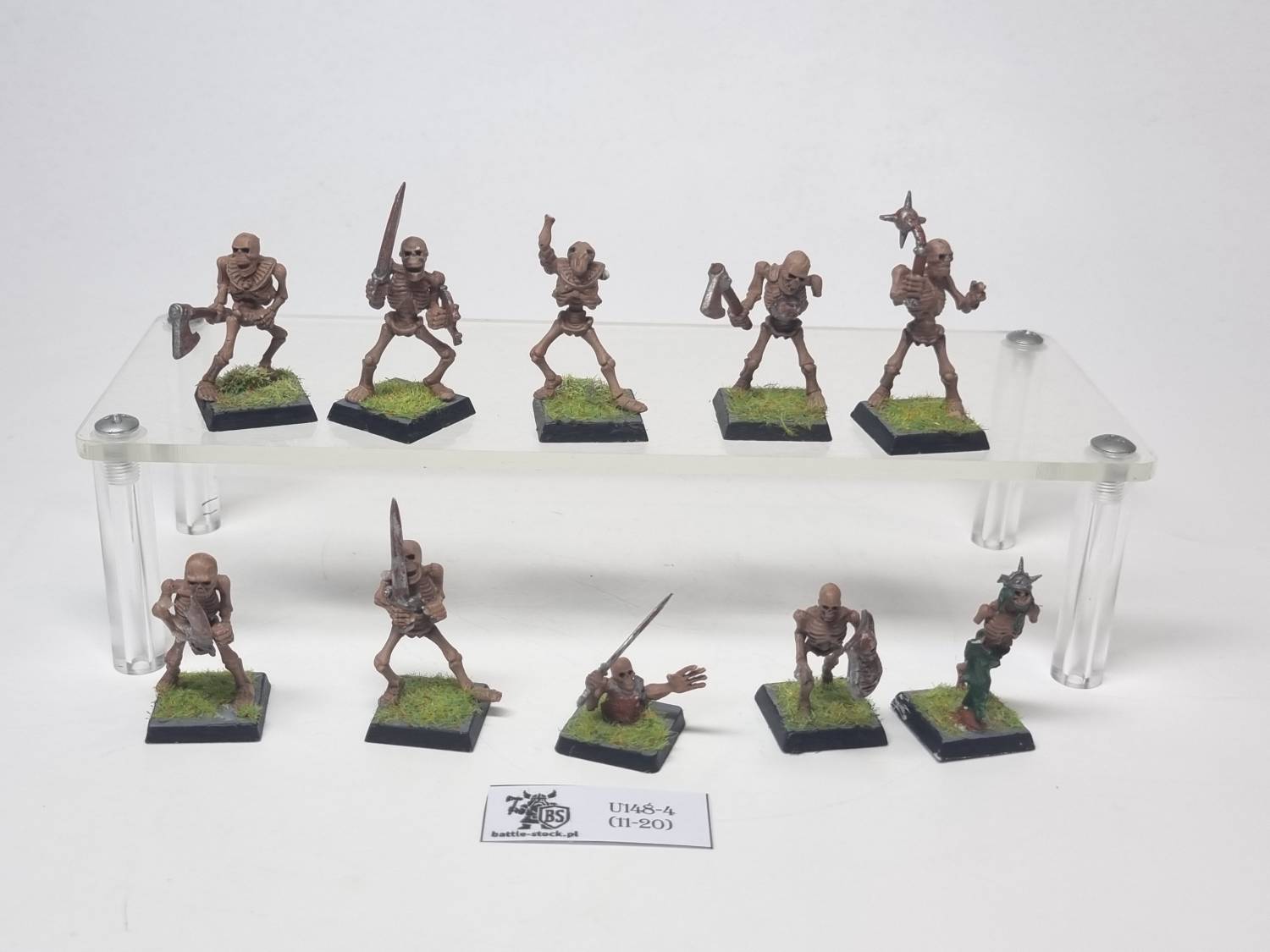 skeleton warriors