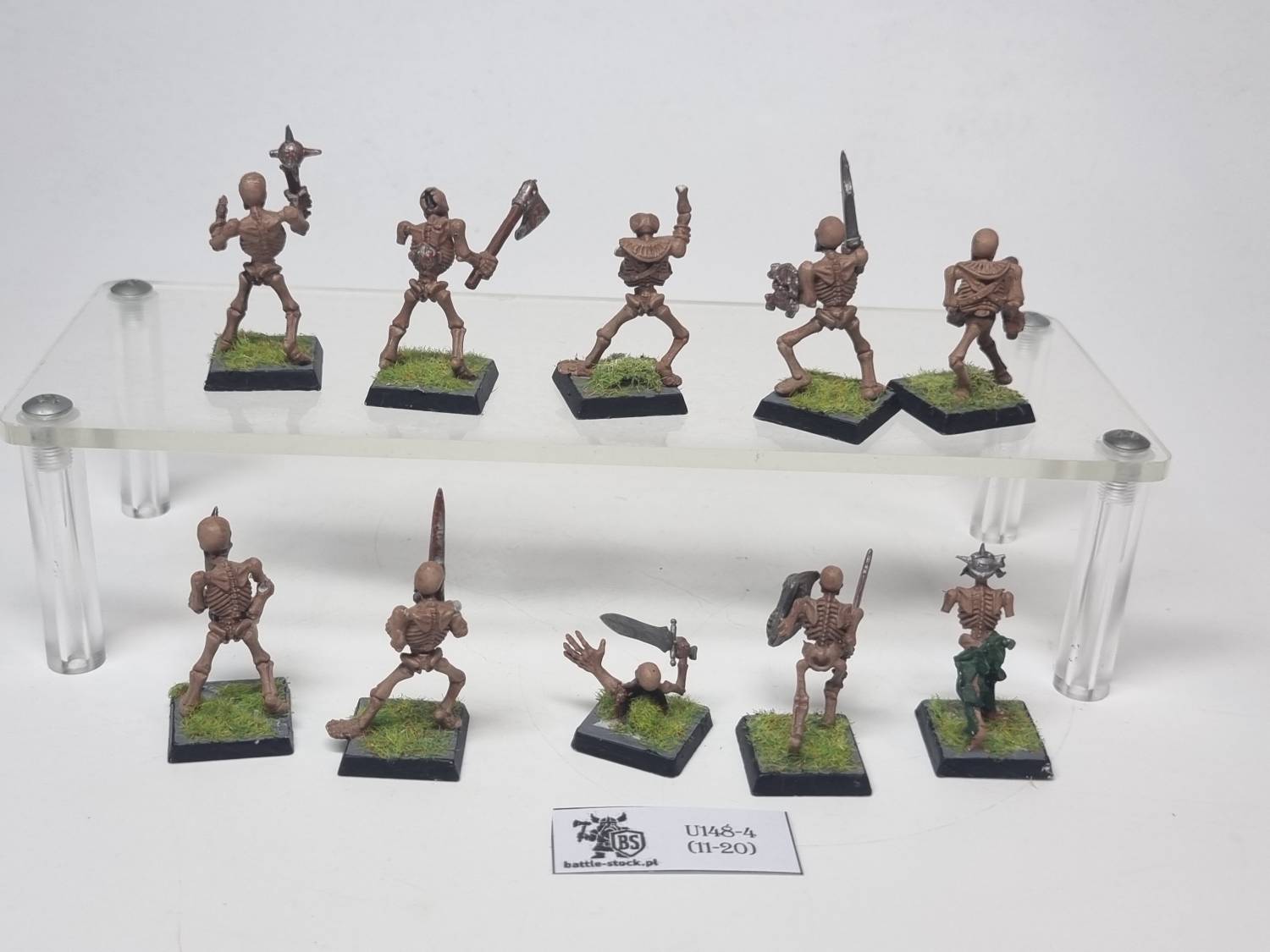 skeleton warriors