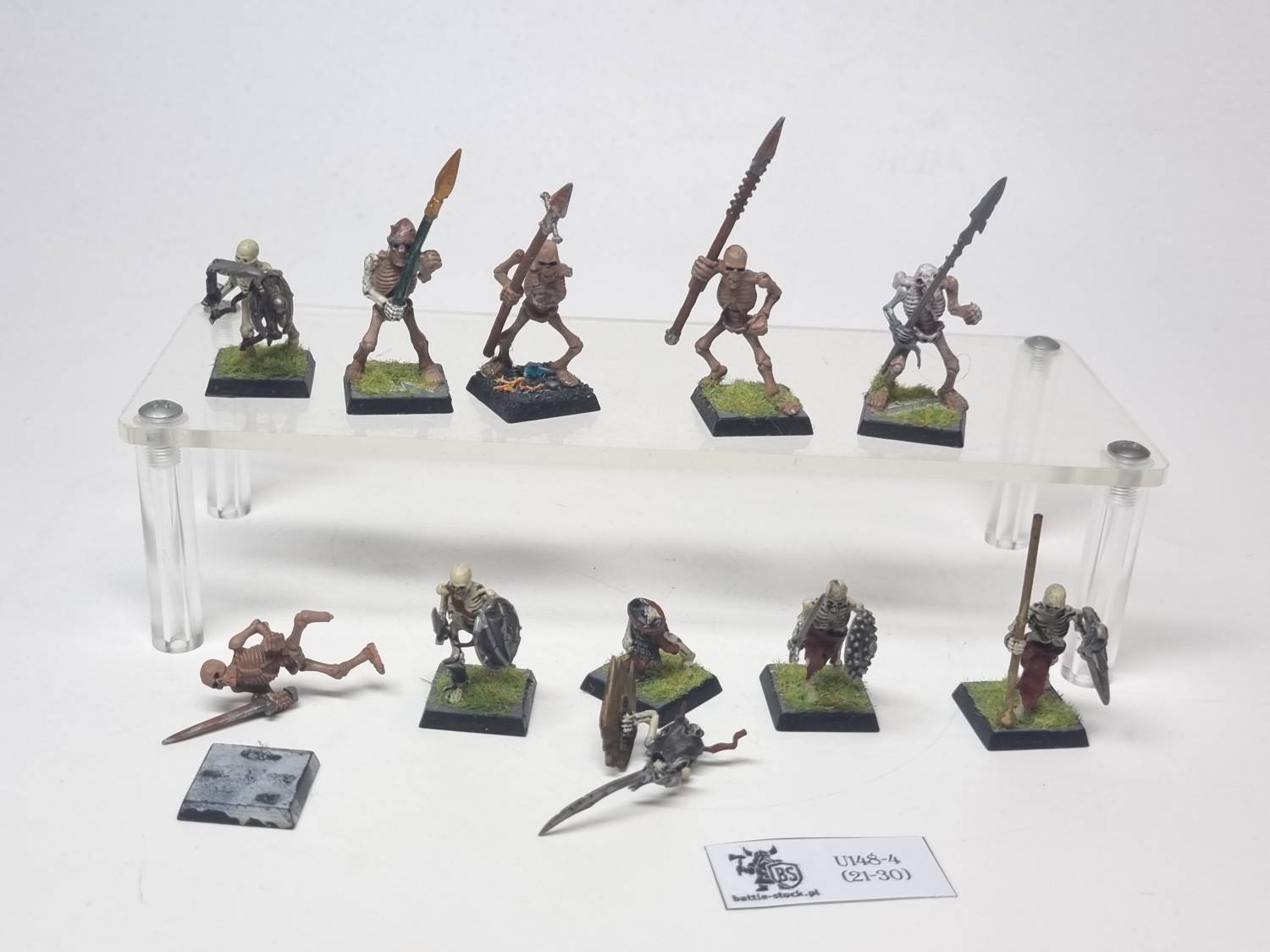 skeleton warriors
