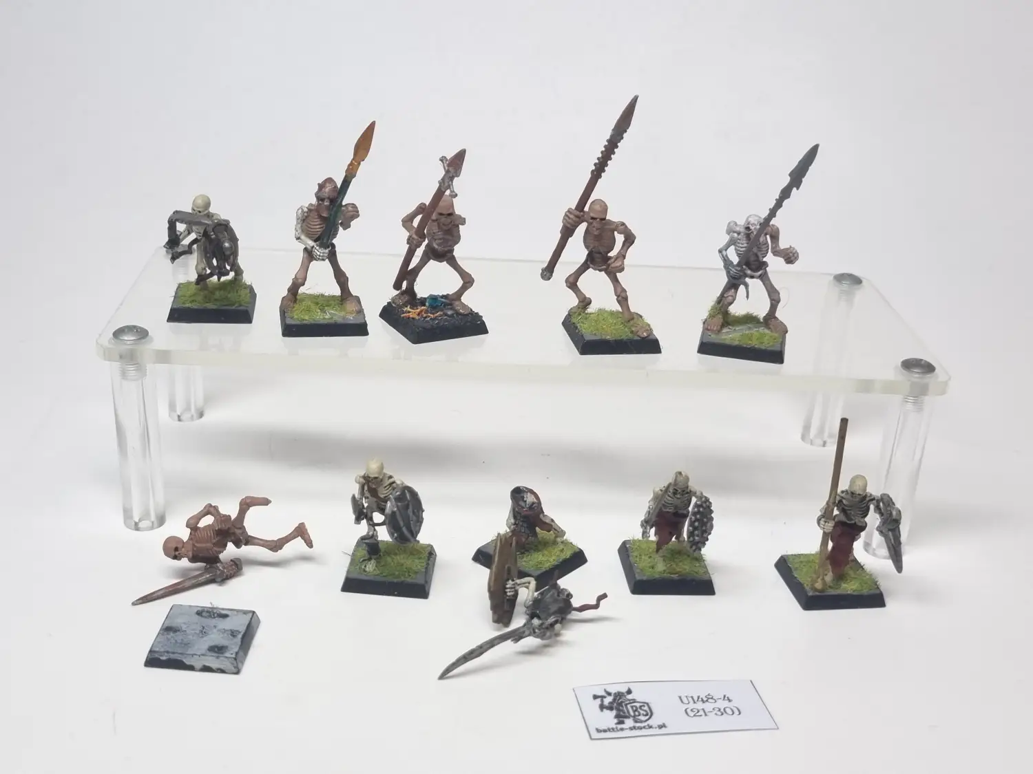 skeleton warriors
