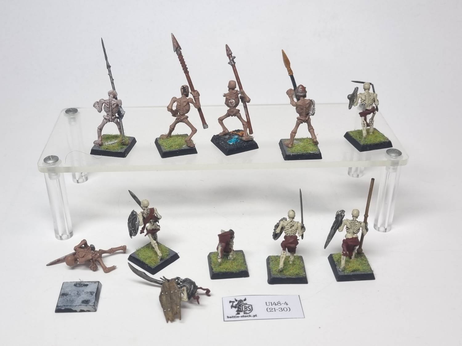skeleton warriors