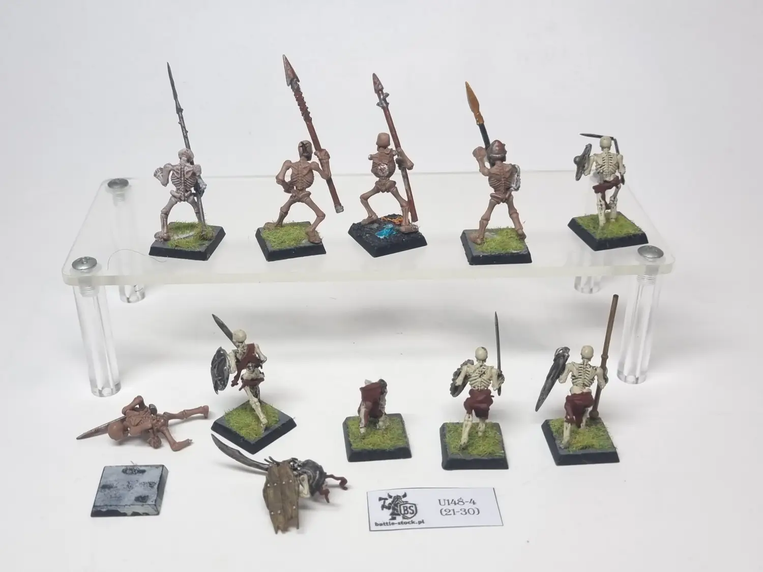 skeleton warriors