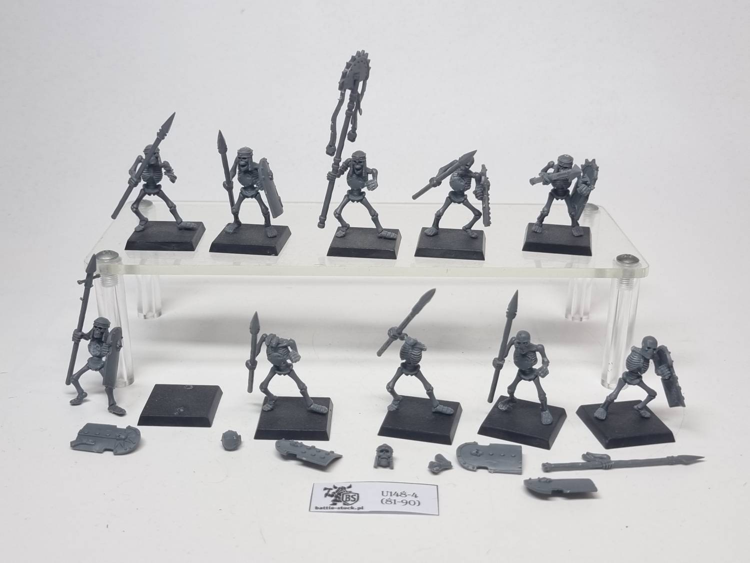 skeleton warriors