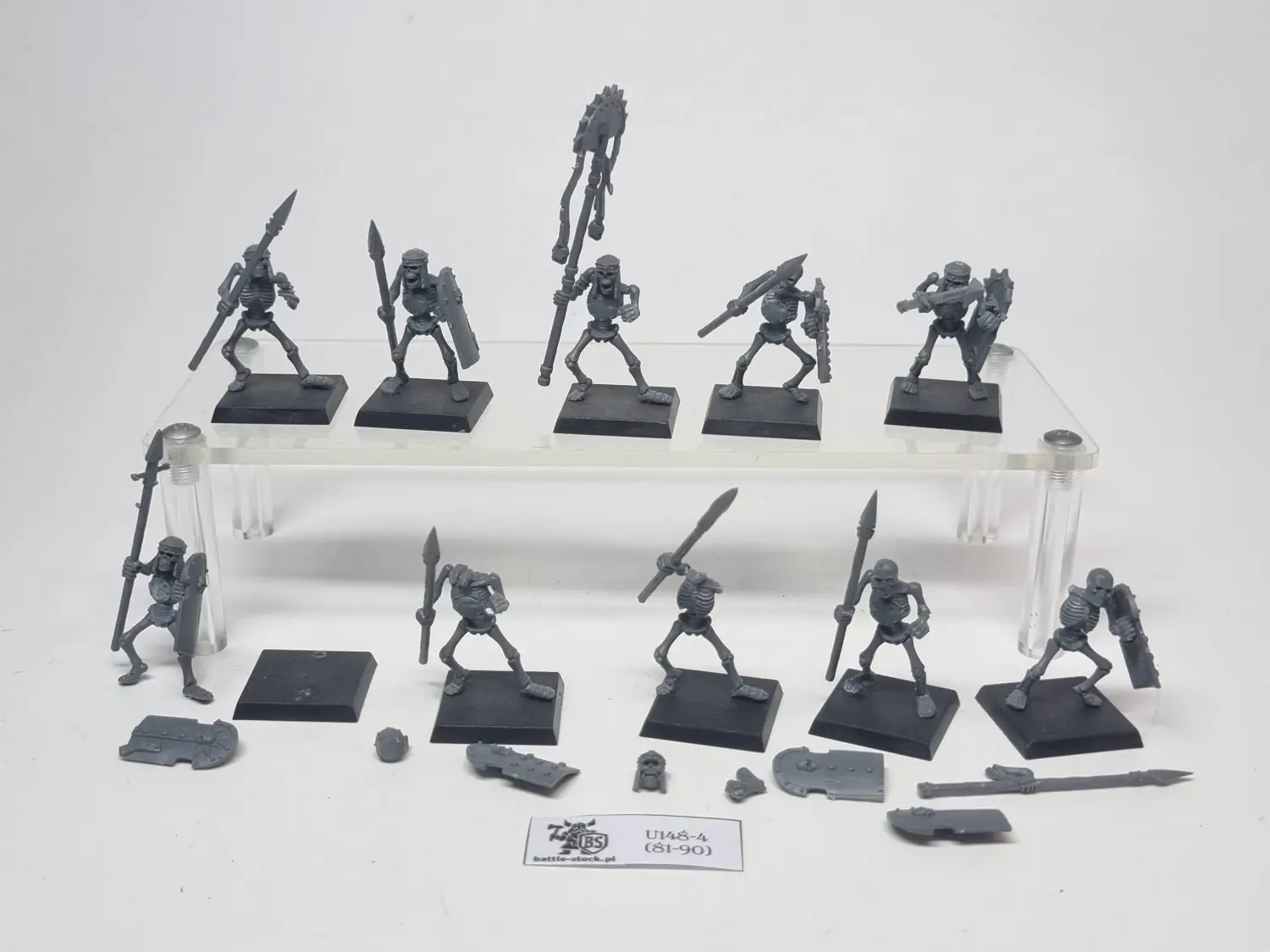 skeleton warriors