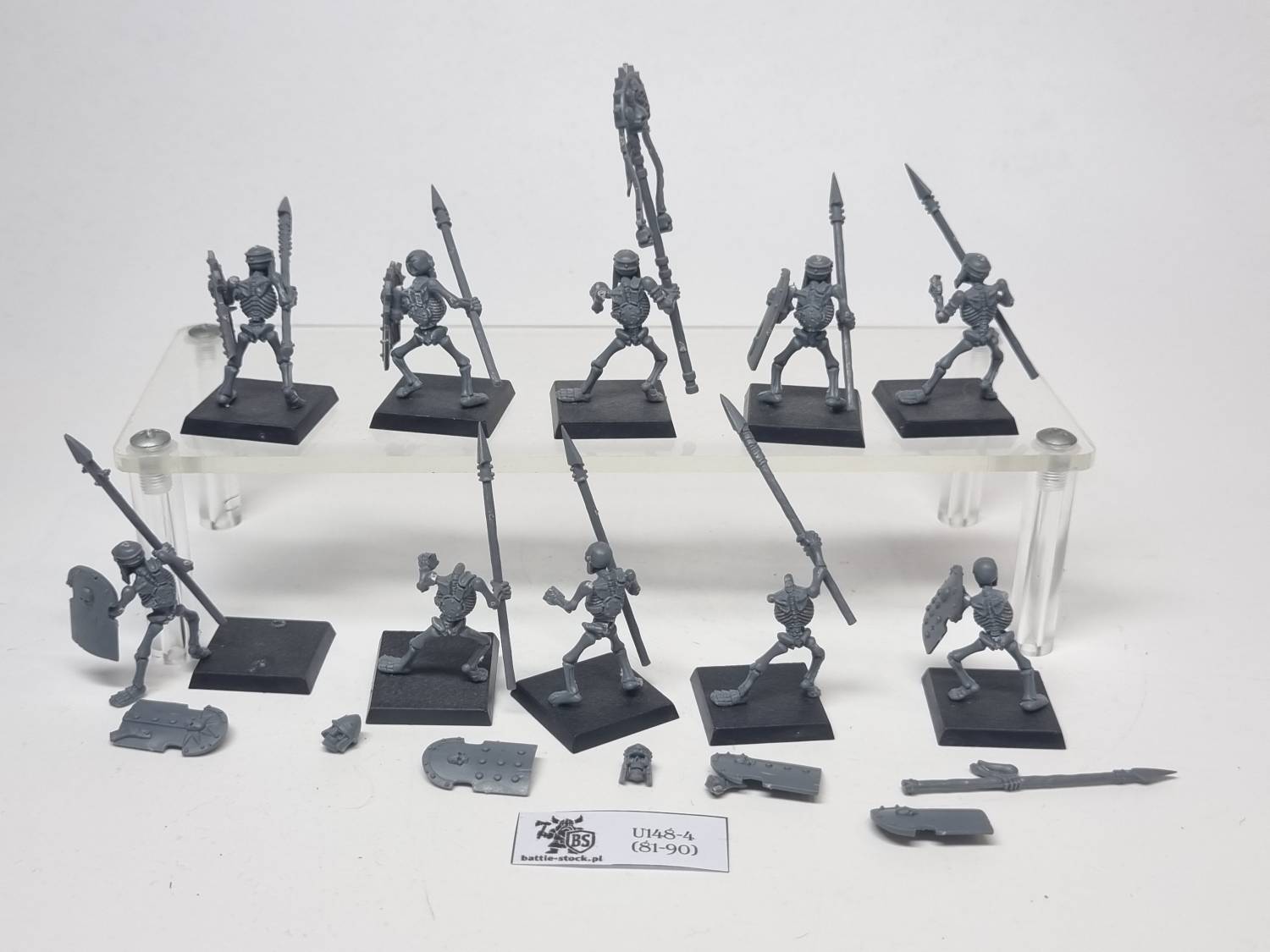 skeleton warriors