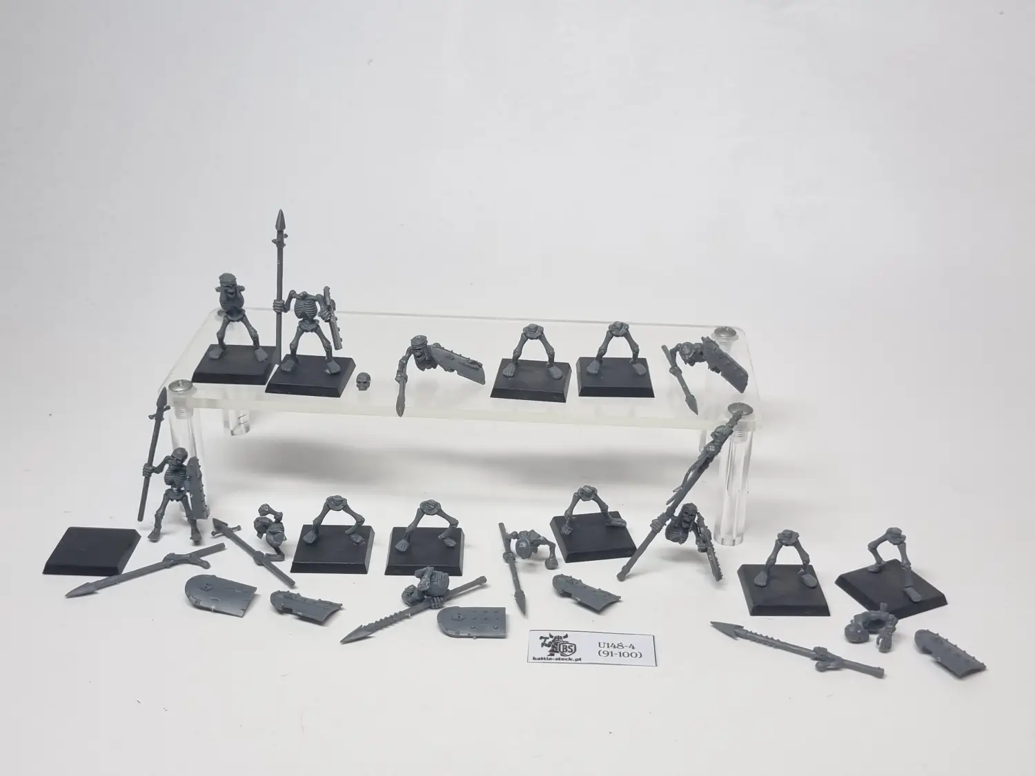 skeleton warriors
