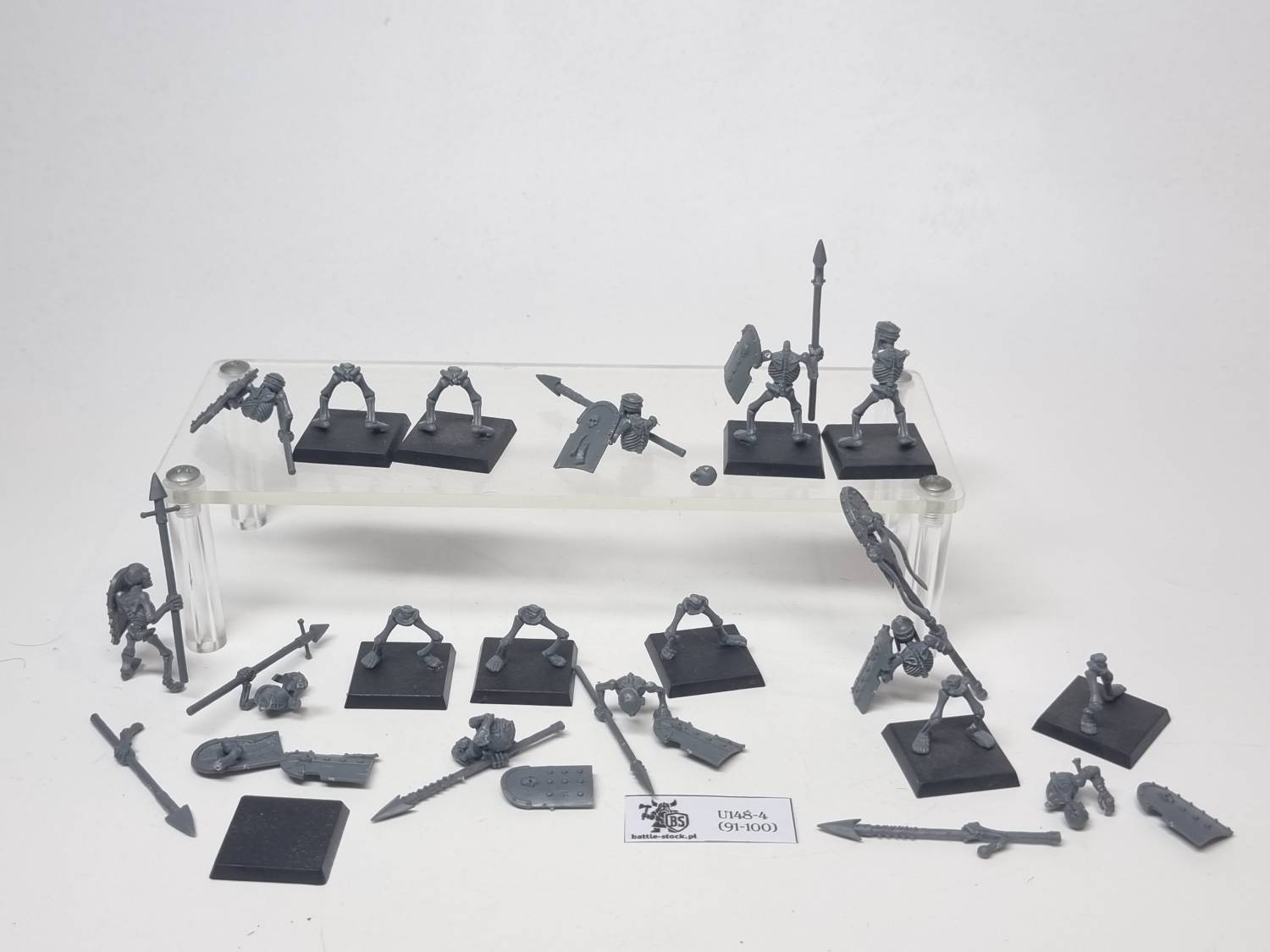 skeleton warriors
