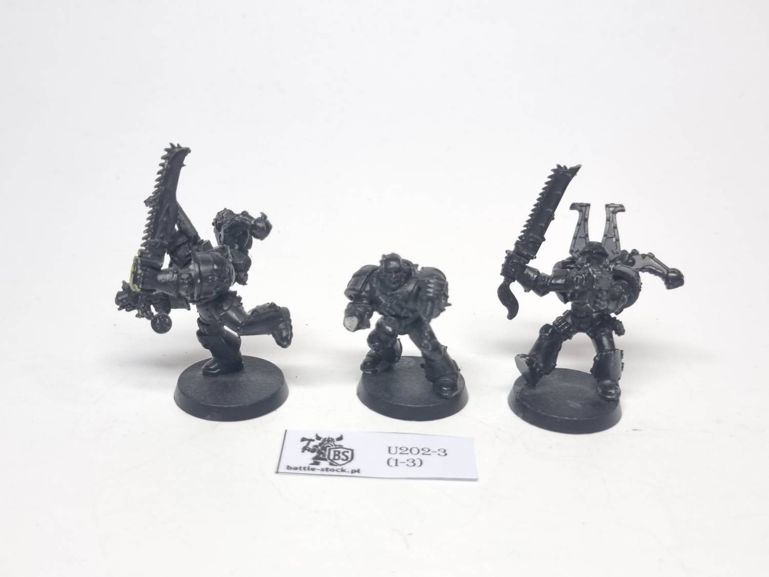 csm berzerkers