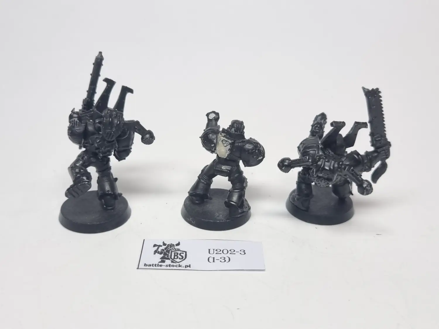 csm berzerkers