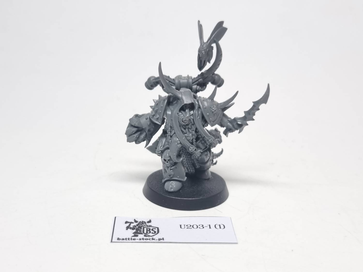 Plague marine champion