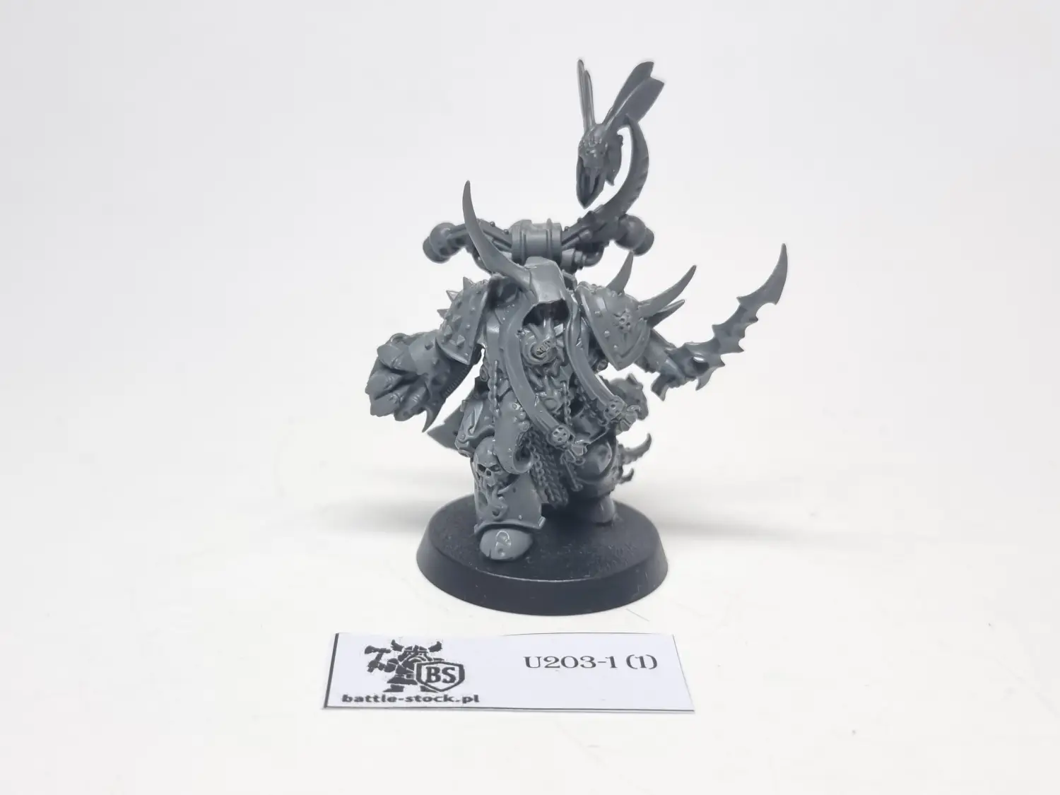 Plague marine champion