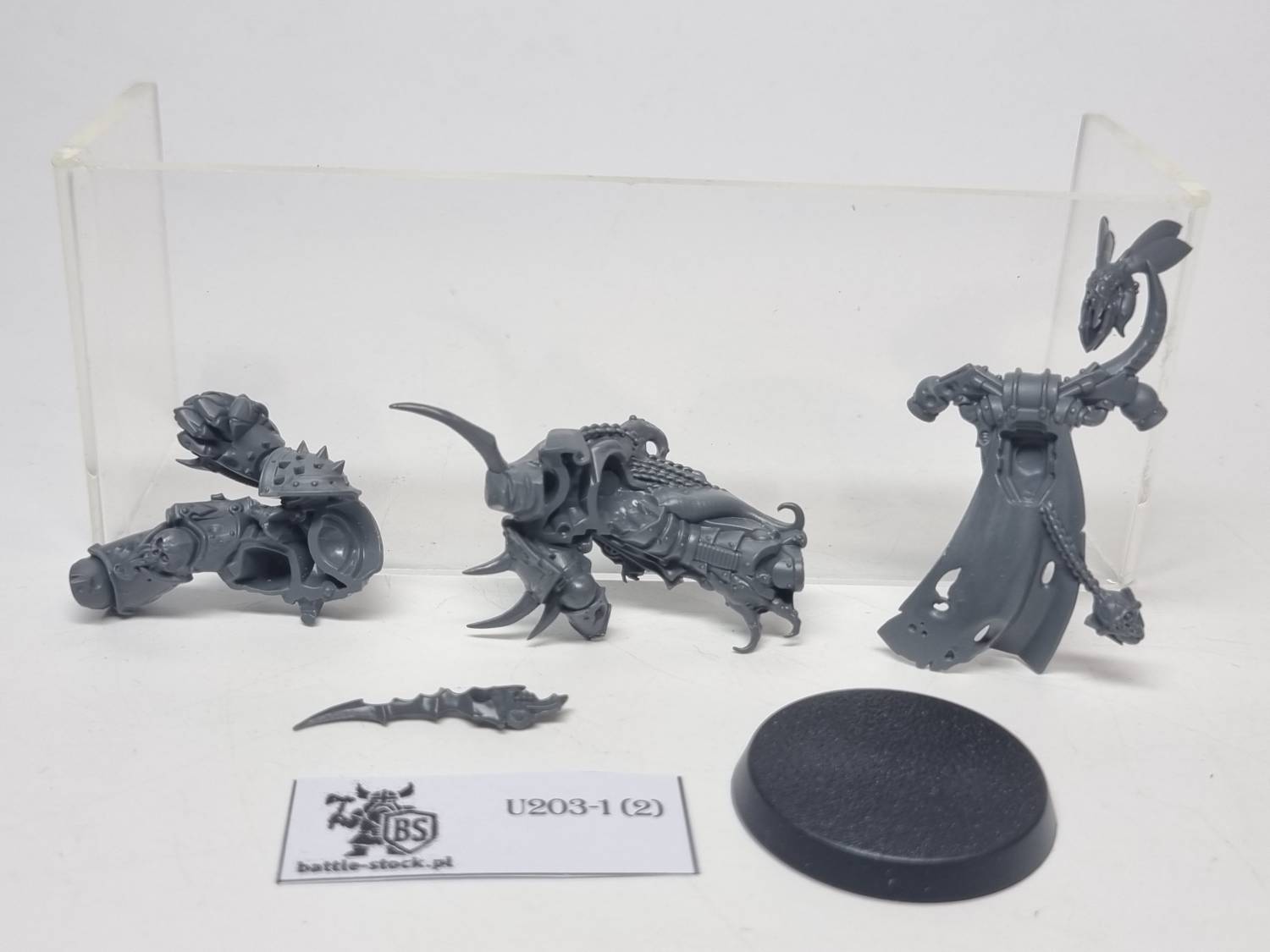 Plague marine champion