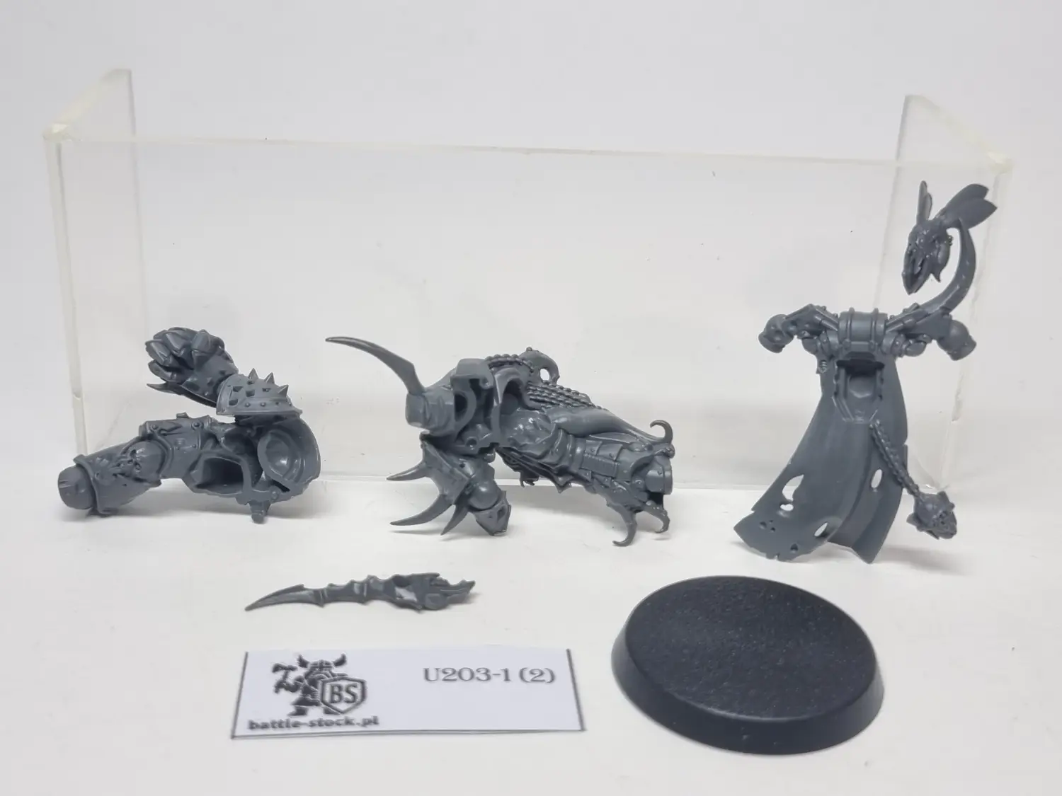Plague marine champion