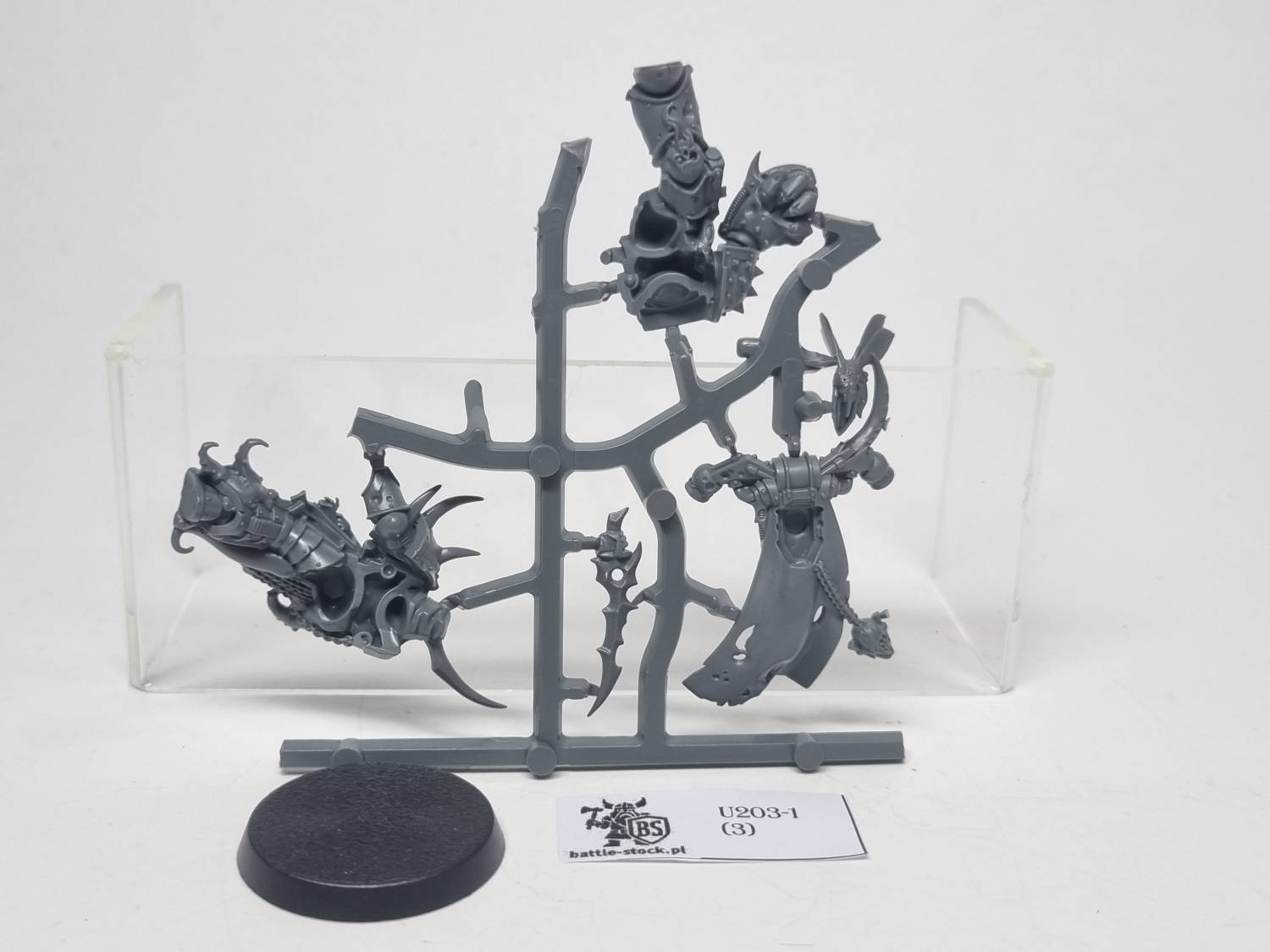 Plague marine champion