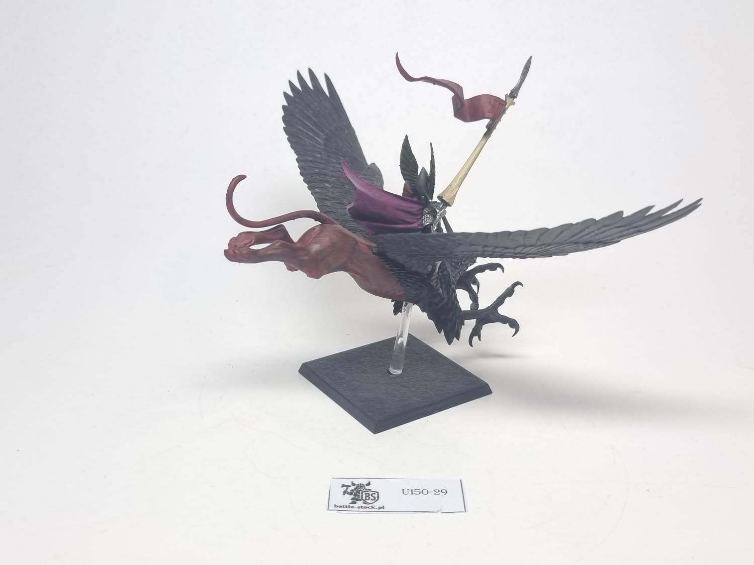 high elf prince on griffon