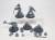 grey knight palladins / terminators