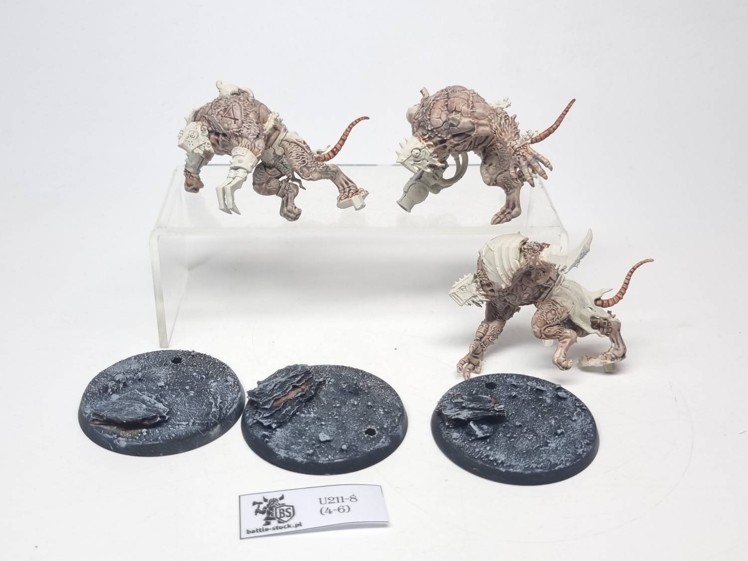 rat ogors