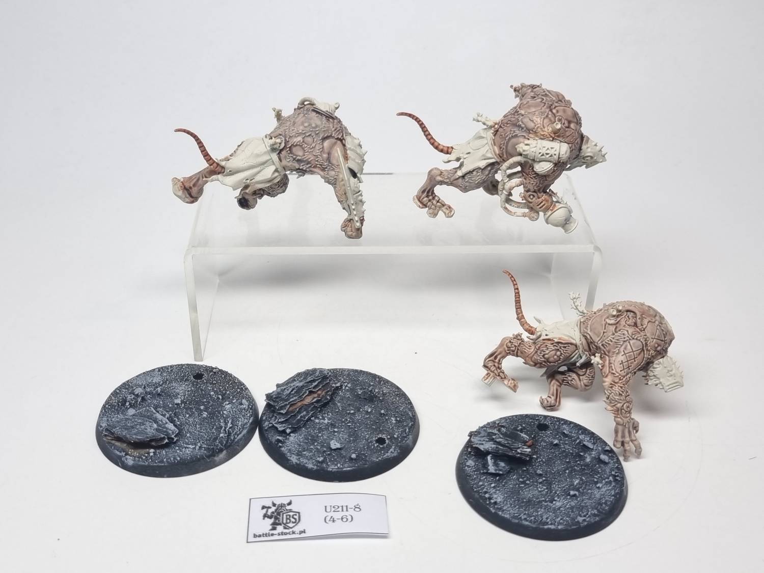 rat ogors