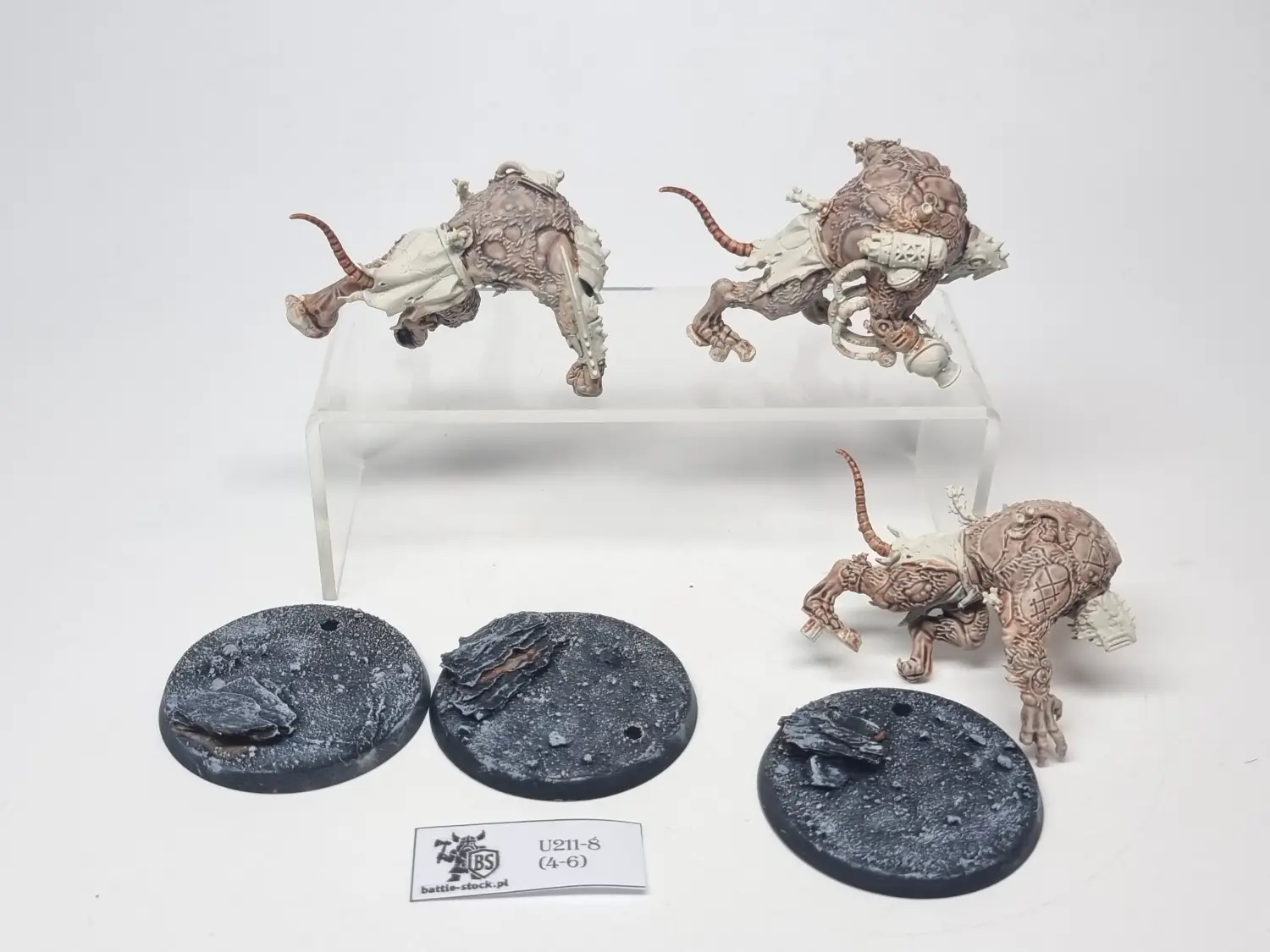rat ogors