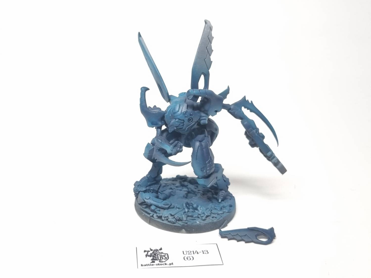 model infinity caskuda