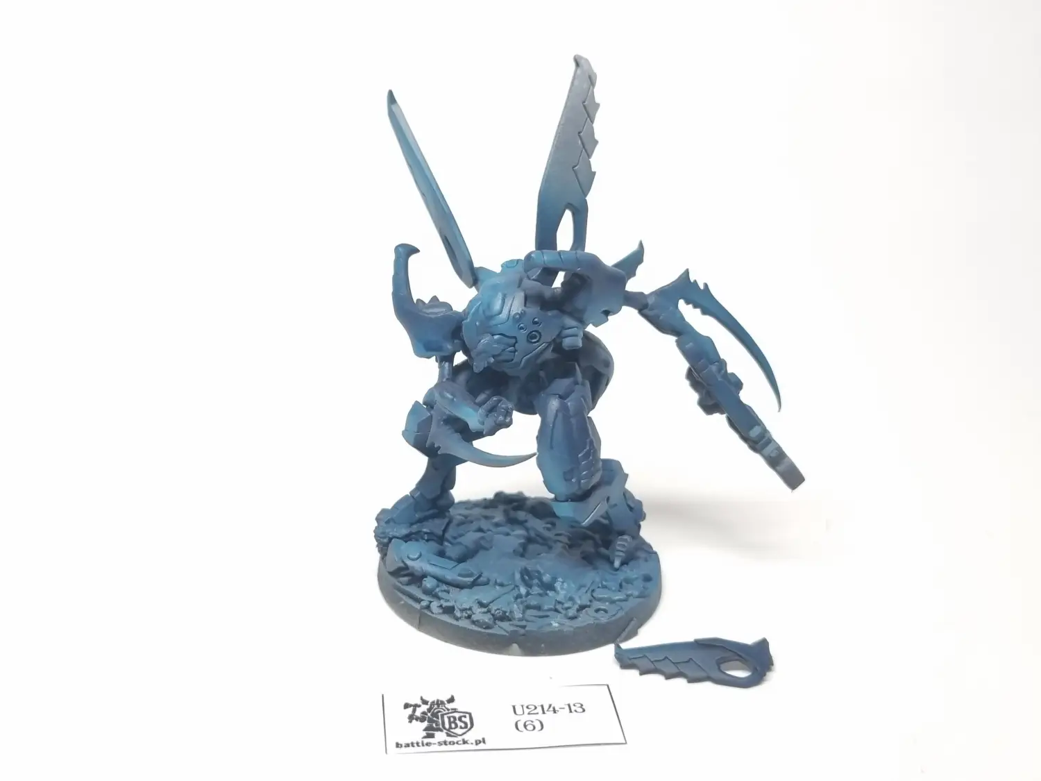 model infinity caskuda