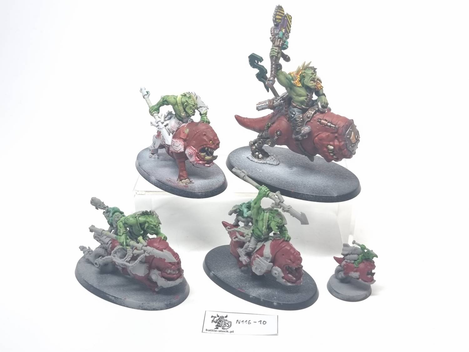 squighog boyz