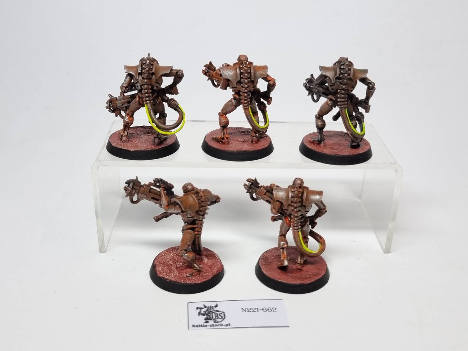 necron immortals