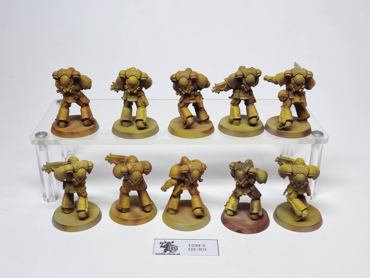 primaris intercessors