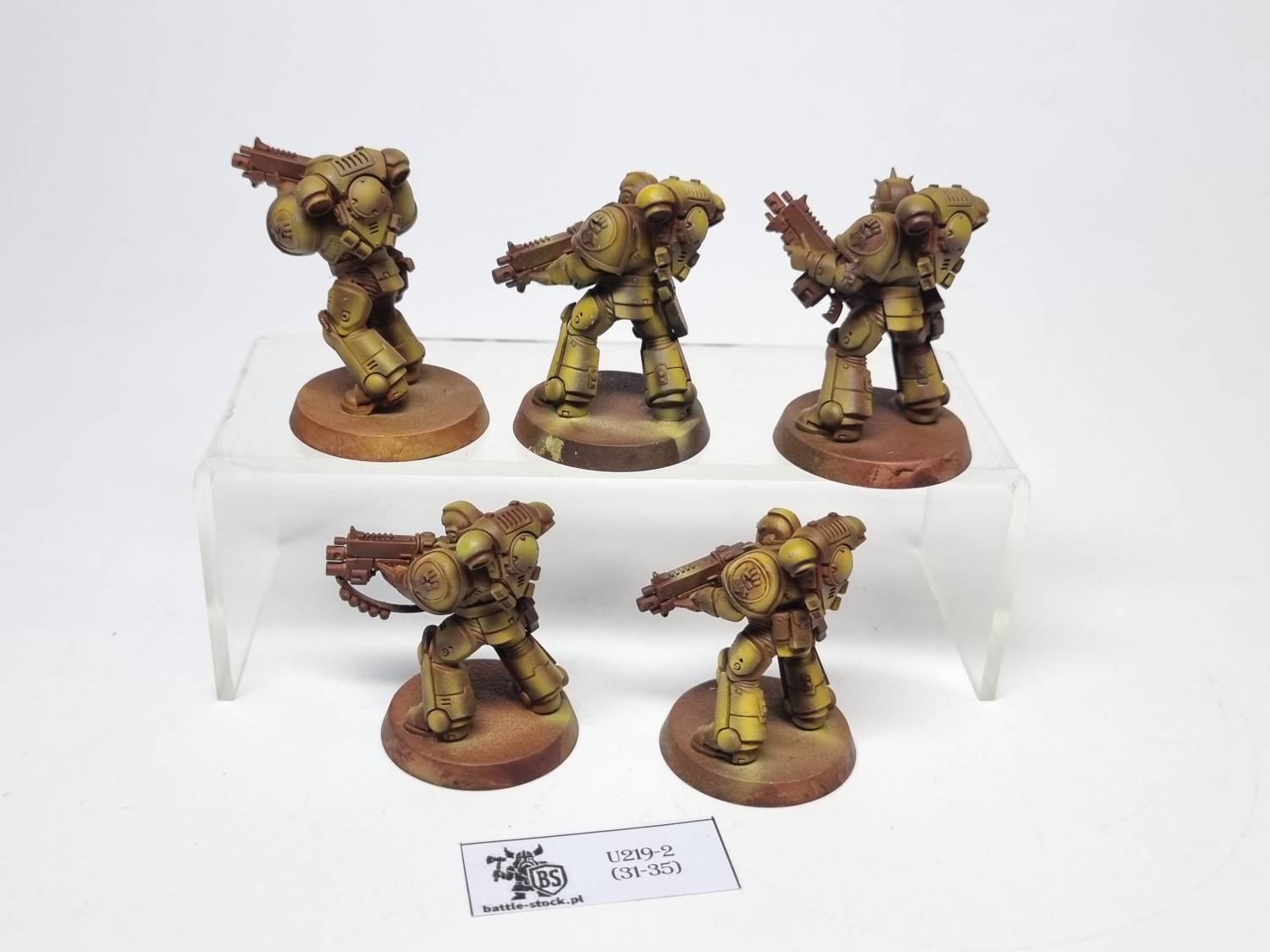 primaris intercessors