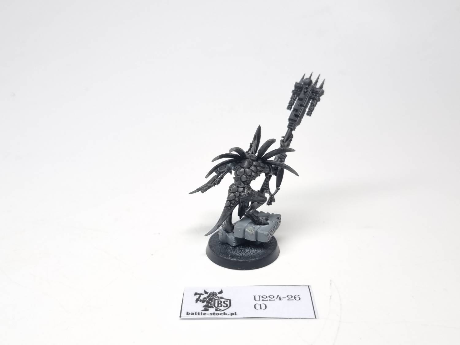skink priest