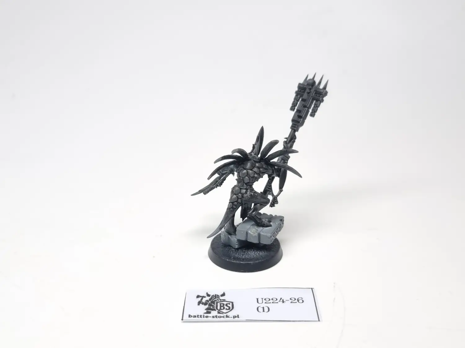 skink priest
