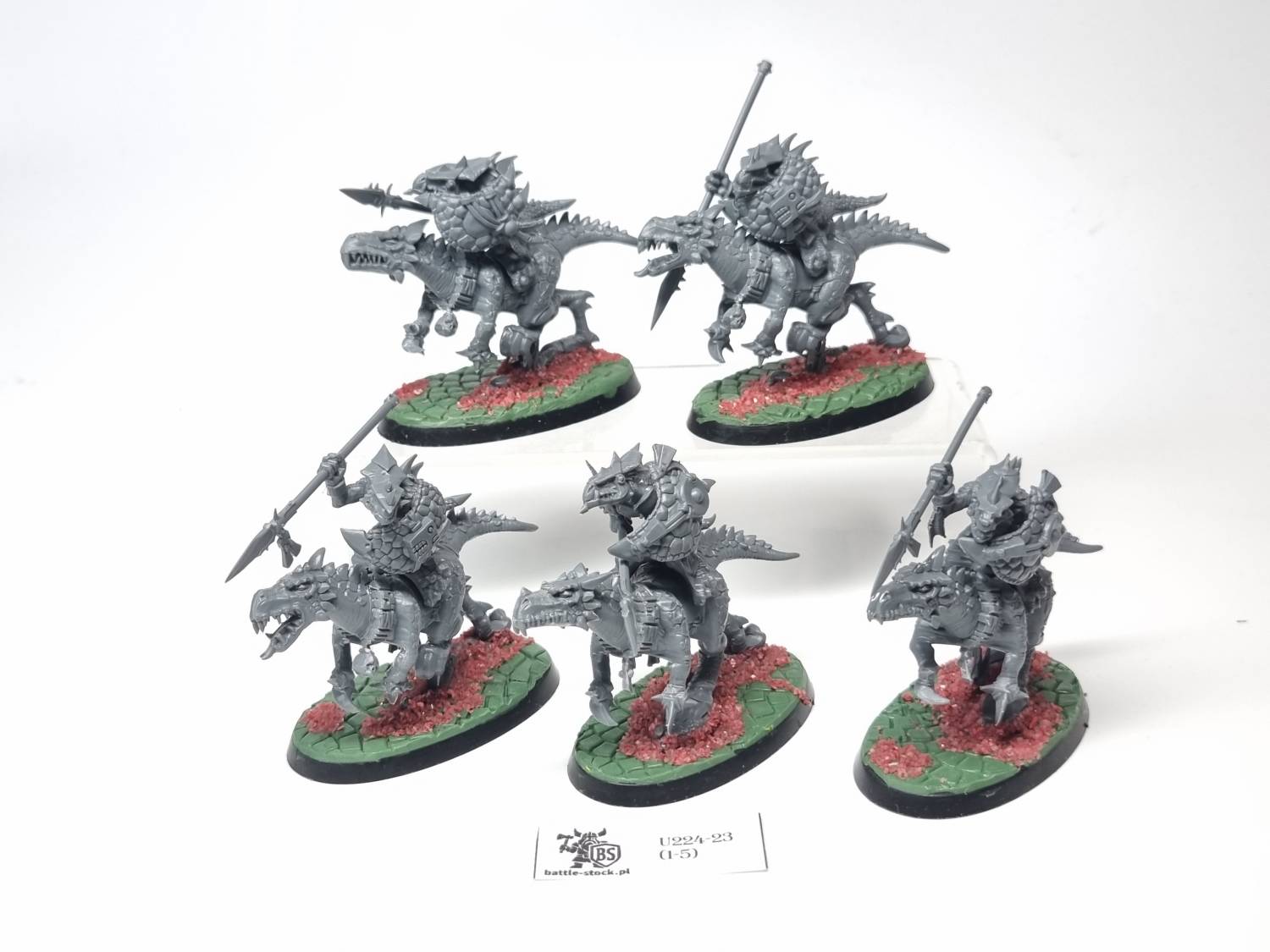 cold one riders / saurus knights