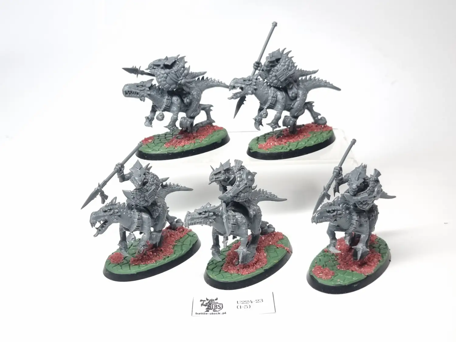 cold one riders / saurus knights