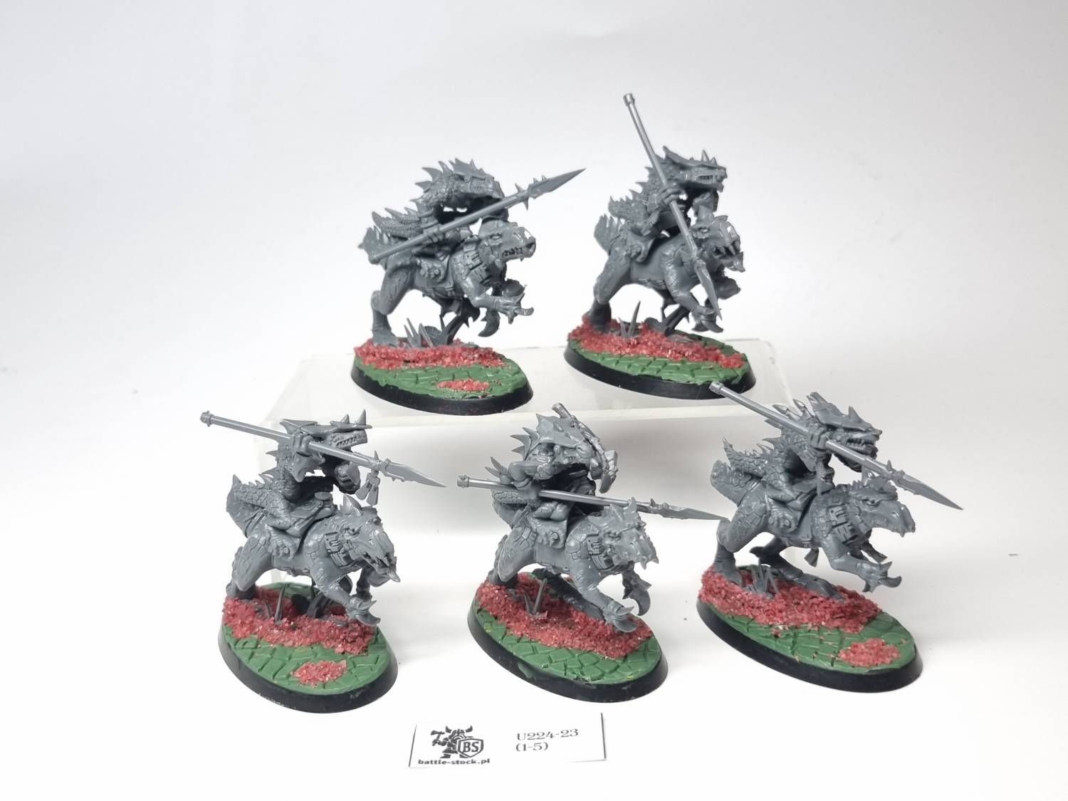 cold one riders / saurus knights