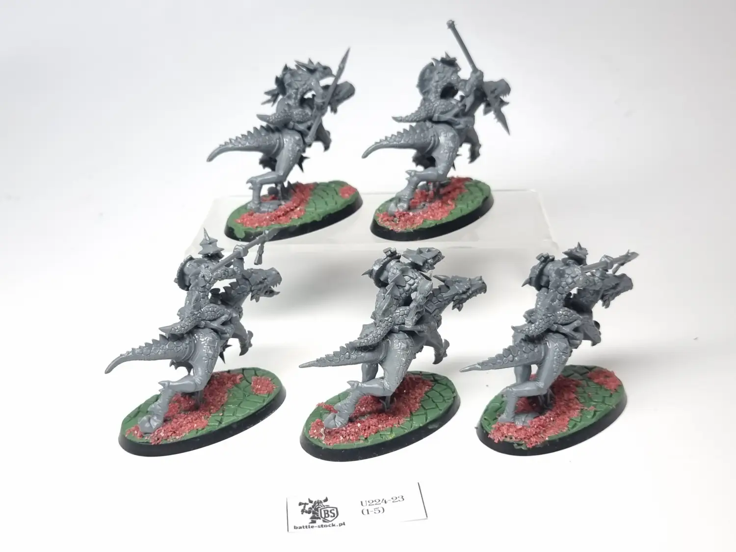 cold one riders / saurus knights