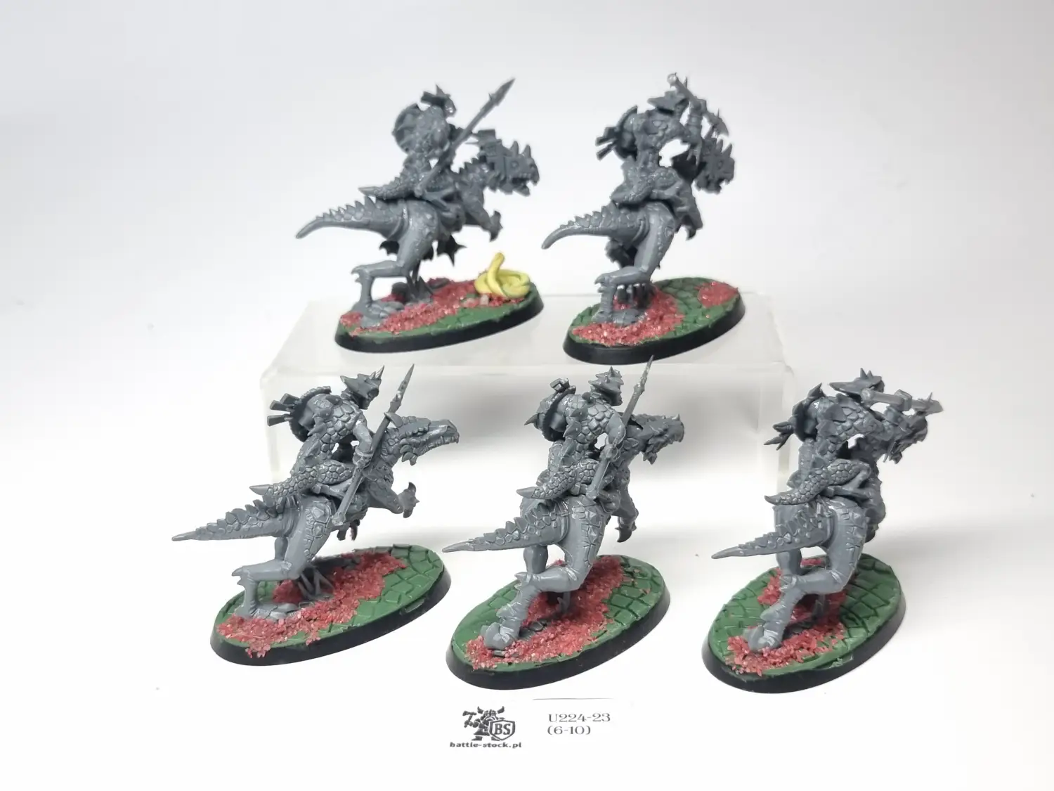 cold one riders / saurus knights