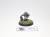 blood bowl crumbleberry