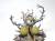 feculent gnarlmaw