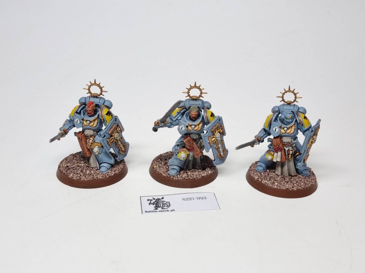 40k SW blade guard veterans