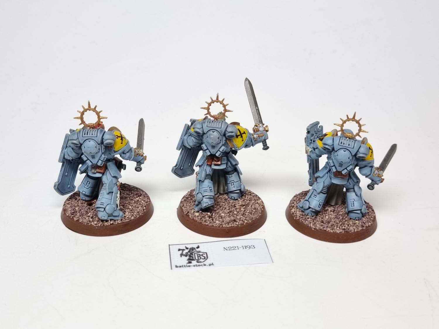 40k SW blade guard veterans