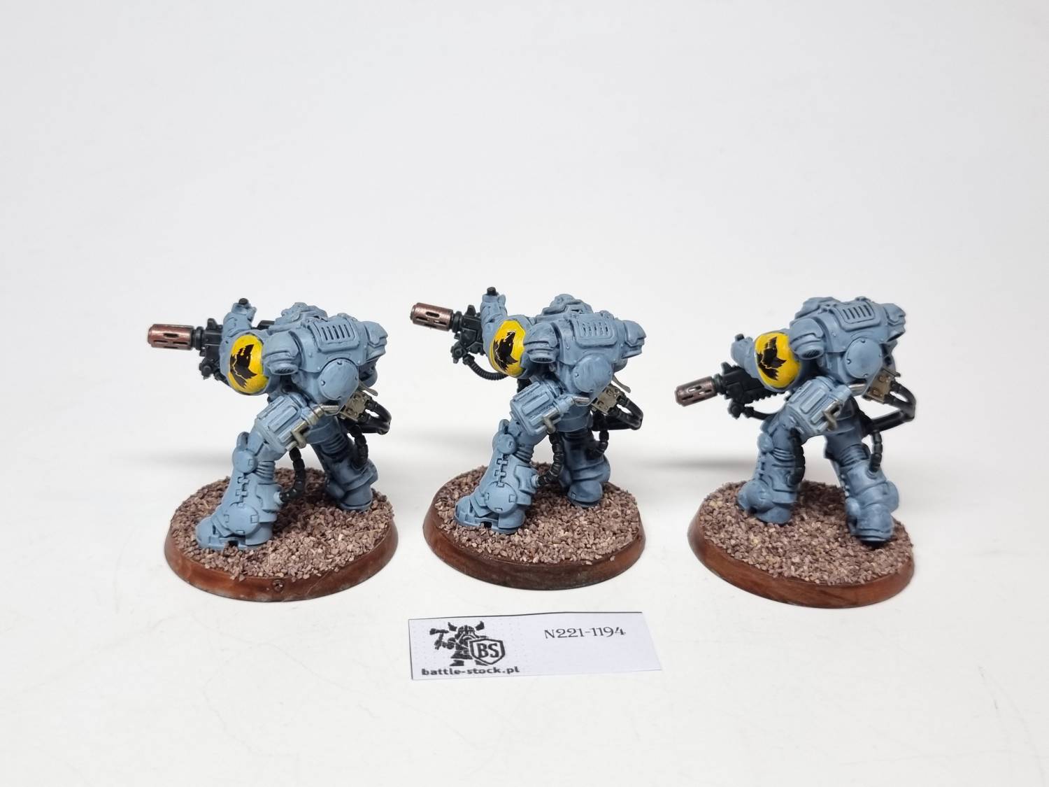 40k SW eradicators