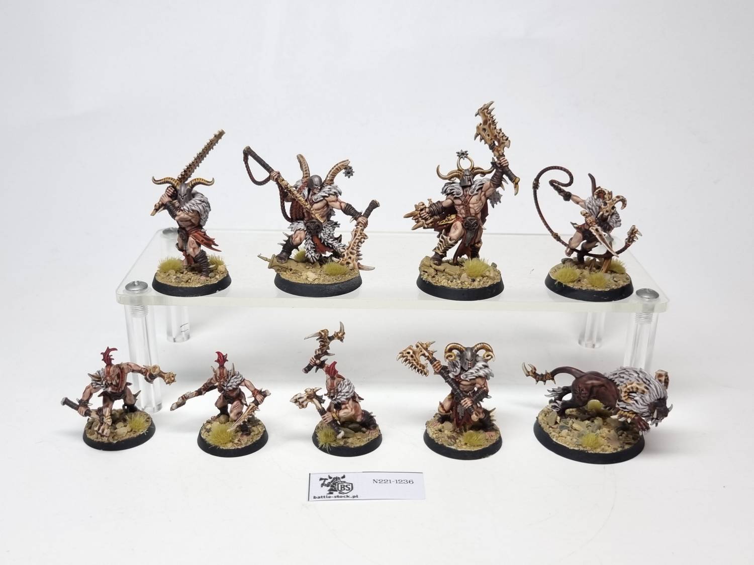 warcry Untamed Beasts