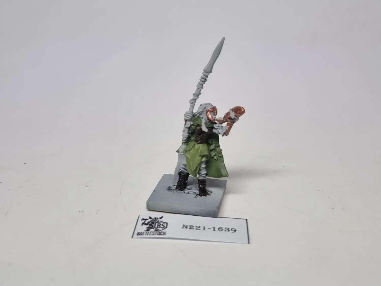 eternal guard musician