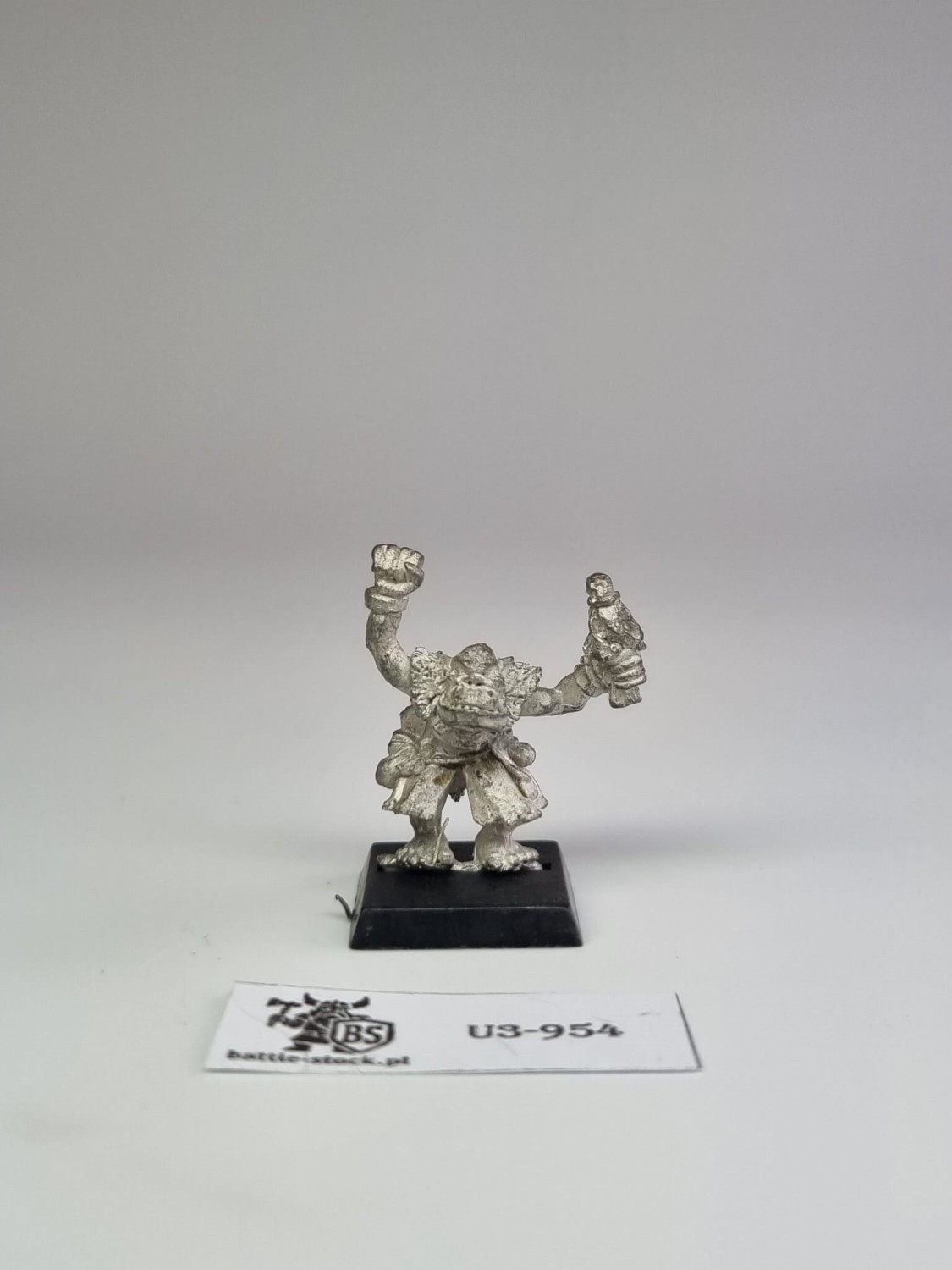 WFB O&amp;G Orc Shaman Uncataloged