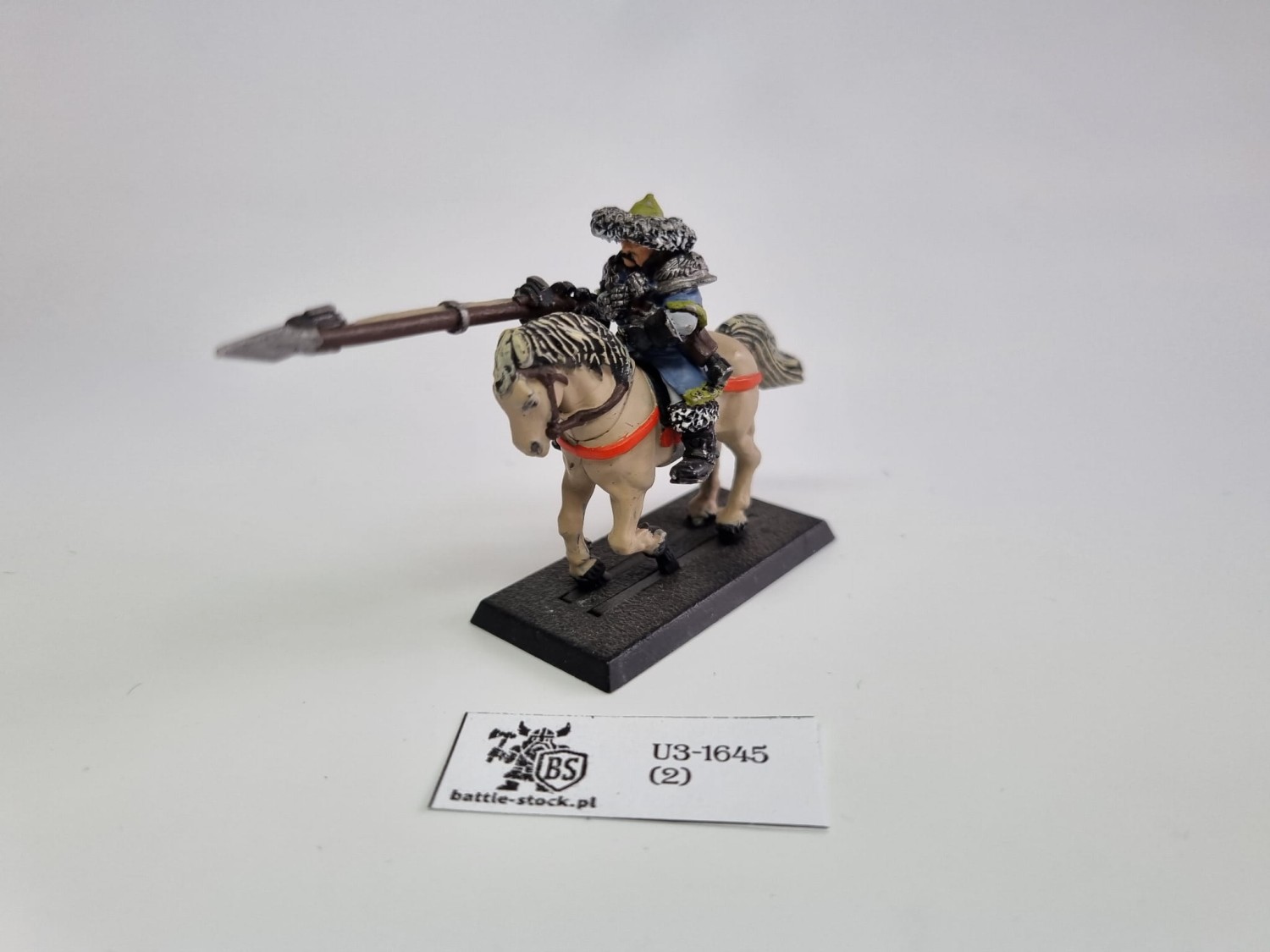 40k IG Tallarn Rough RIder