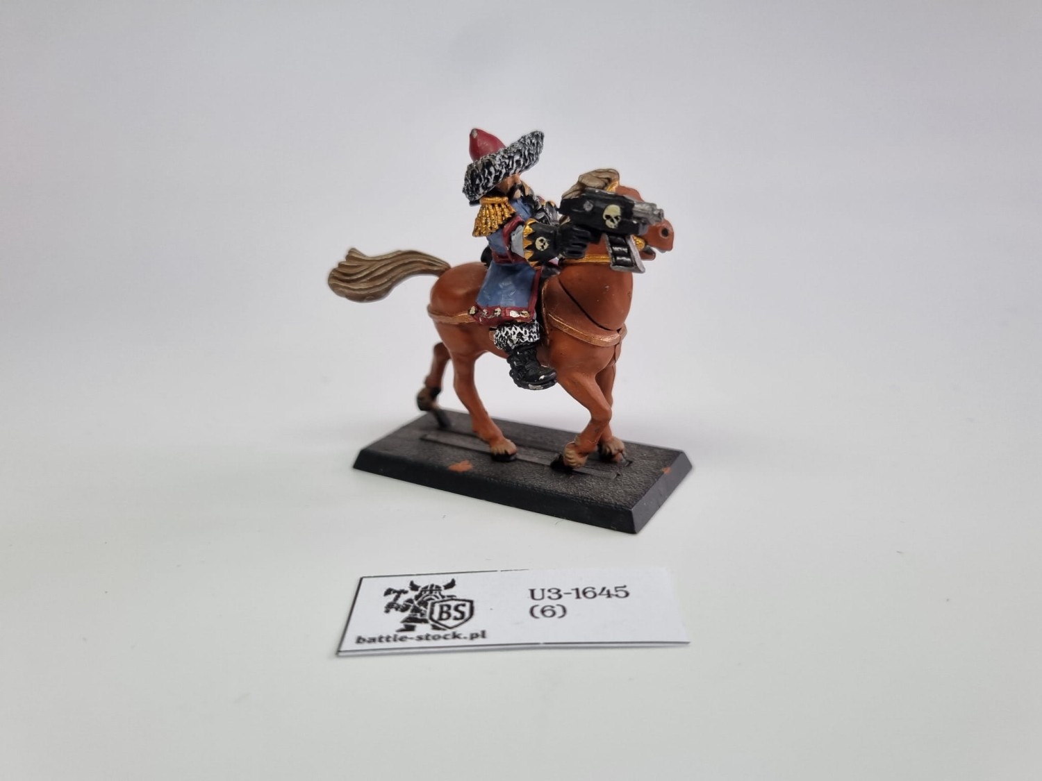40k IG Tallarn Rough RIder