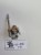 WFB dwarfs marauder krasiek