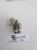 WFB dwarfs marauder krasiek