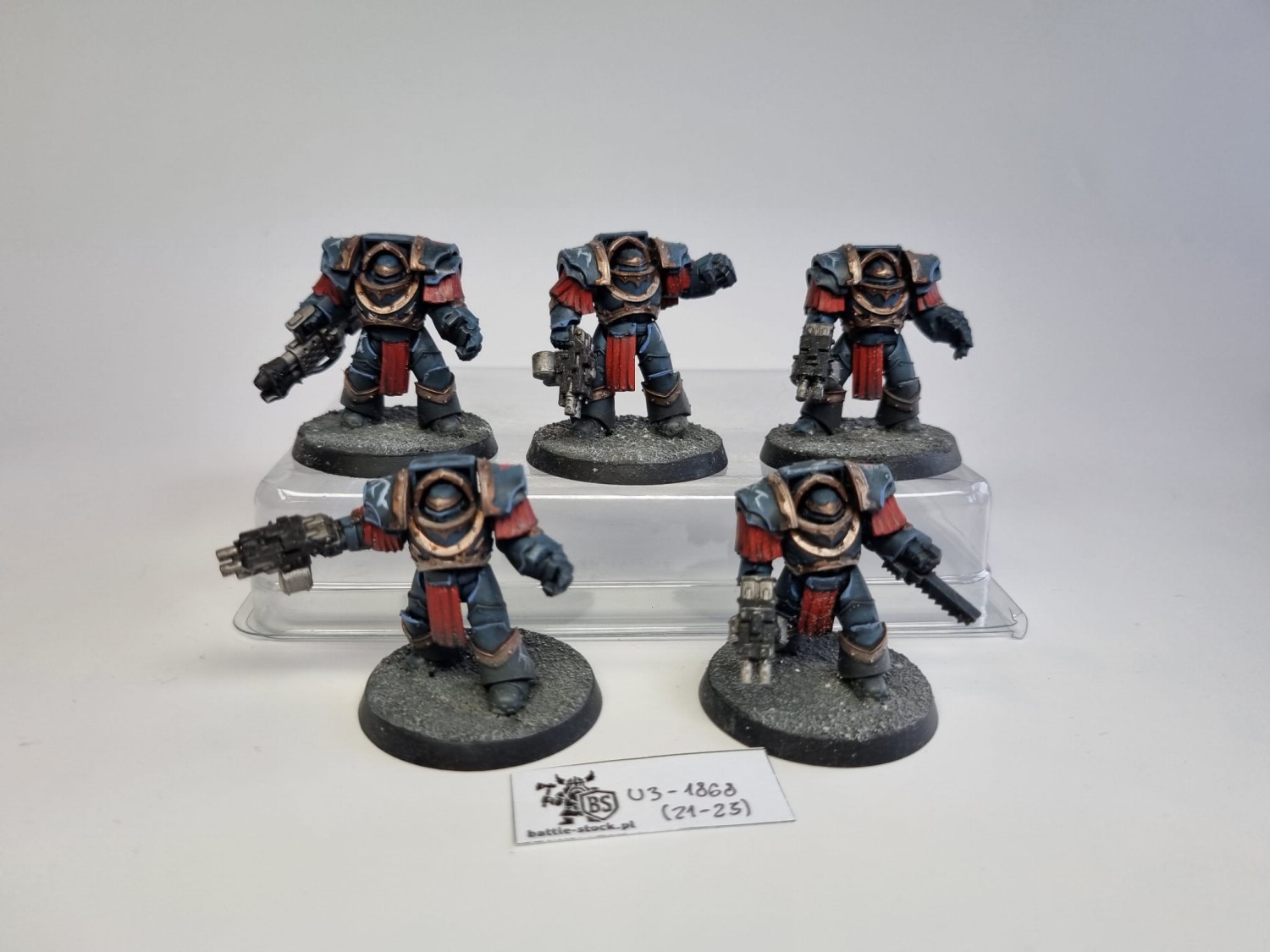 40k CSM Night Lords cataphractii terminators
