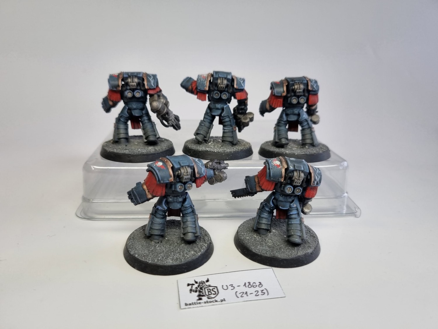 40k CSM Night Lords cataphractii terminators